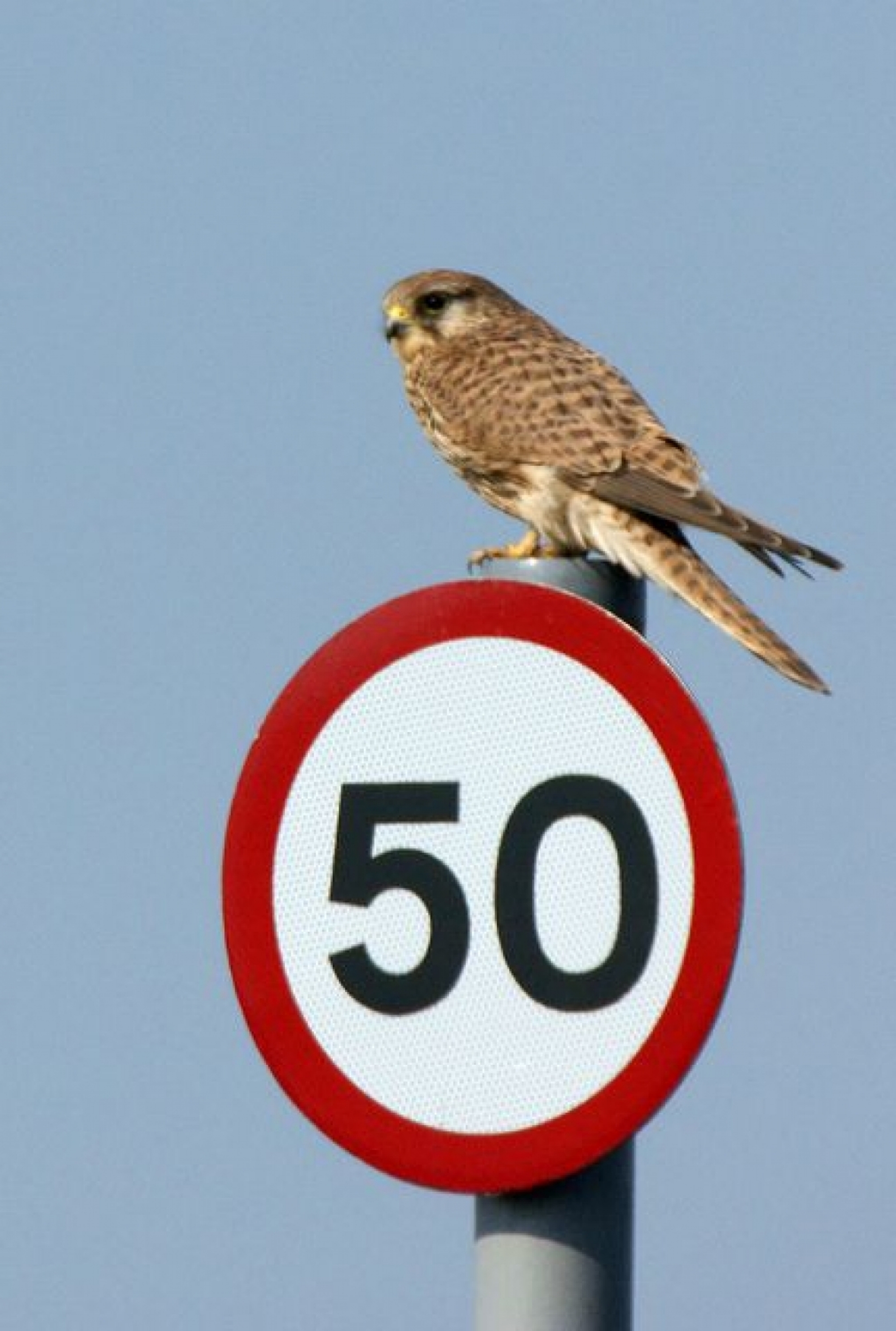 ad-communications-the-great-british-road-sign-50-years-and-counting