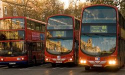 What do exhibitions and London buses have in common?