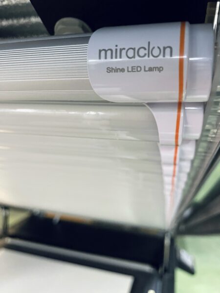 Flexocolor_Shine_Lamp_Kit