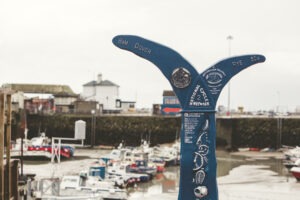 cycle infrastrructure (6)